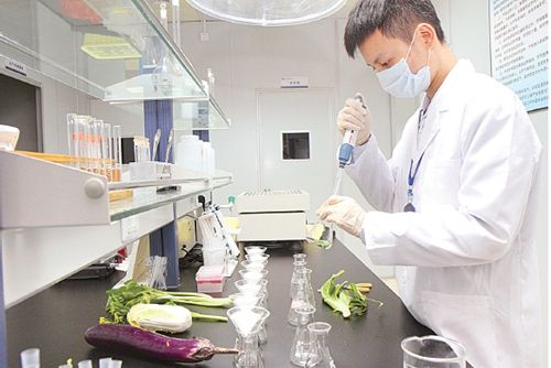 湖北食品檢驗院實驗室設備采購